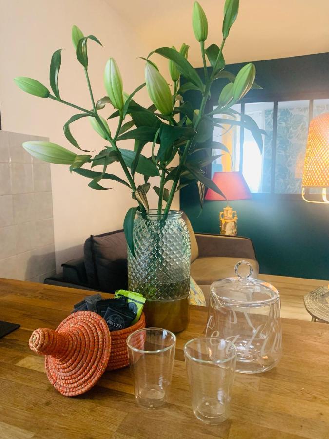 Appartement Cosy Le Balloon Avec Wifi Annonay Ngoại thất bức ảnh